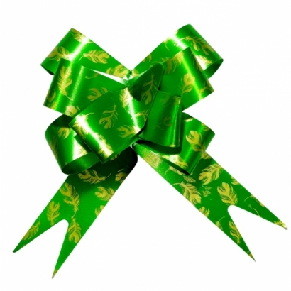 SA6.jpg