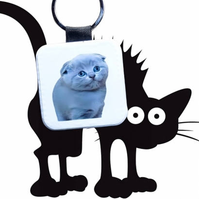 BB2 _2_.jpg